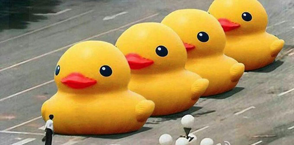 Montage canards